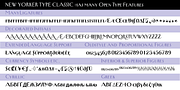 New Yorker Type Classic, a Serif Font by Wiescher-Design (Thumbnail 8 of 8)
