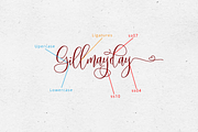 Mollinda - Modern Script Typeface, a Script Font by tebaltipislab (Thumbnail 10 of 10)