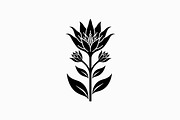 Elegant Floral Bundle, an Illustration by hafijul (Thumbnail 11 of 21)