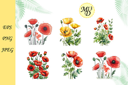 Set of 11 watercolor poppy flower