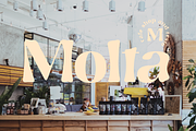 Nelliy, a Serif Font by Muksal Creative (Thumbnail 4 of 8)