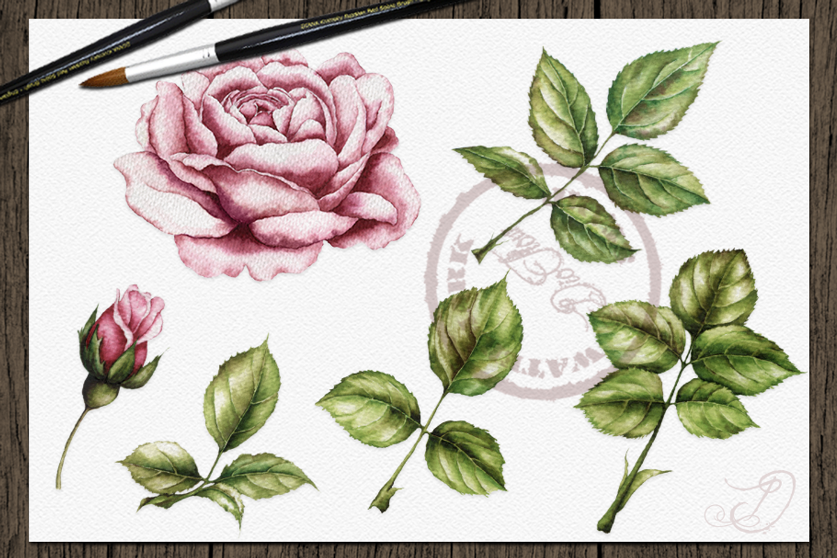Vintage Roses Illustration, a Decorative Illustration by DioFlow (Photo 5 of 5)