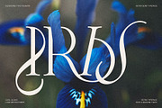 Frosty Garden - Elegant Retro Serif, a Serif Font by SilverStag Type Foundry (Thumbnail 6 of 19)