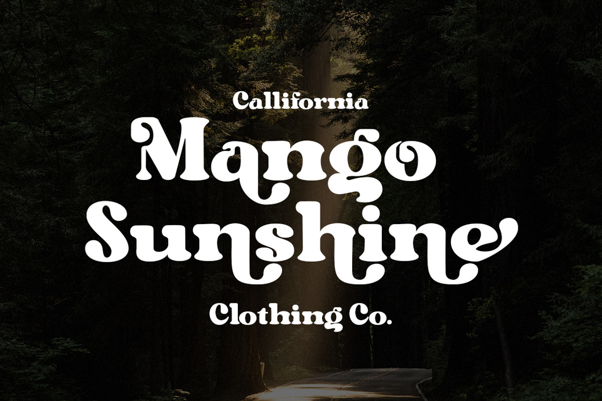 Mango Display, a Serif Font by MasaType (Photo 5 of 10)
