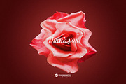 Modern Renaissance Florals, a Graphic by Youandigraphics (Thumbnail 13 of 13)