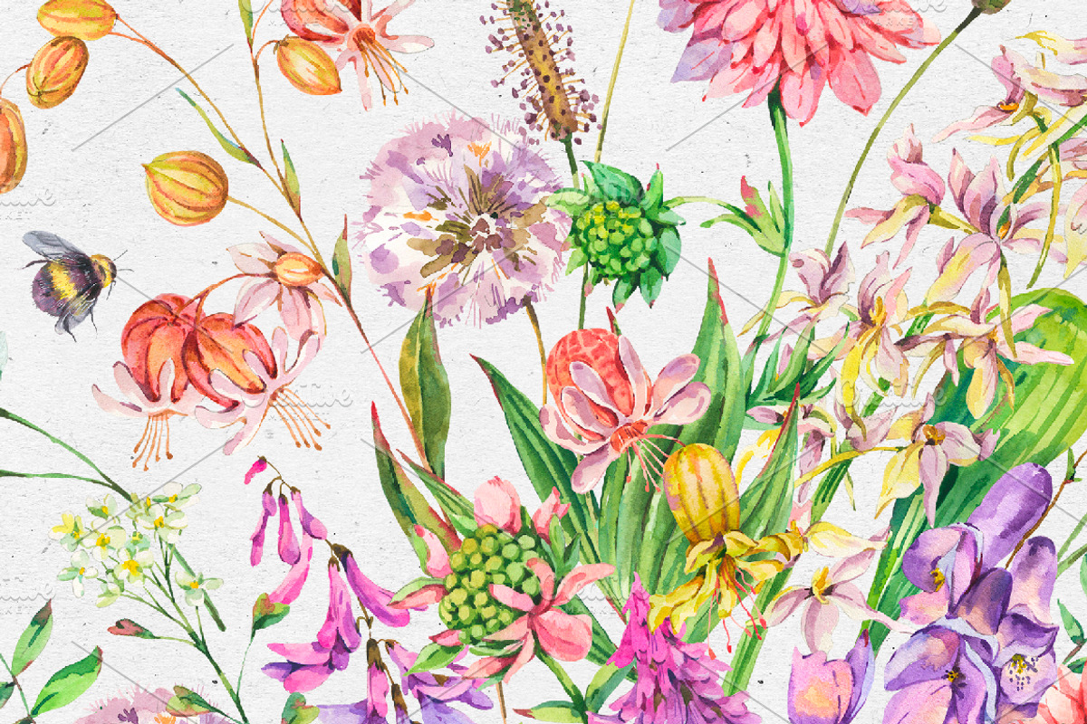 Watercolor meadow herbs&flowers, an Illustration by Depiano (Photo 9 of 19)