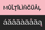Moser | Font Family, a Sans Serif Font by Almond Type (Thumbnail 7 of 11)