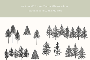 Forest Mountain Vector Illustrations