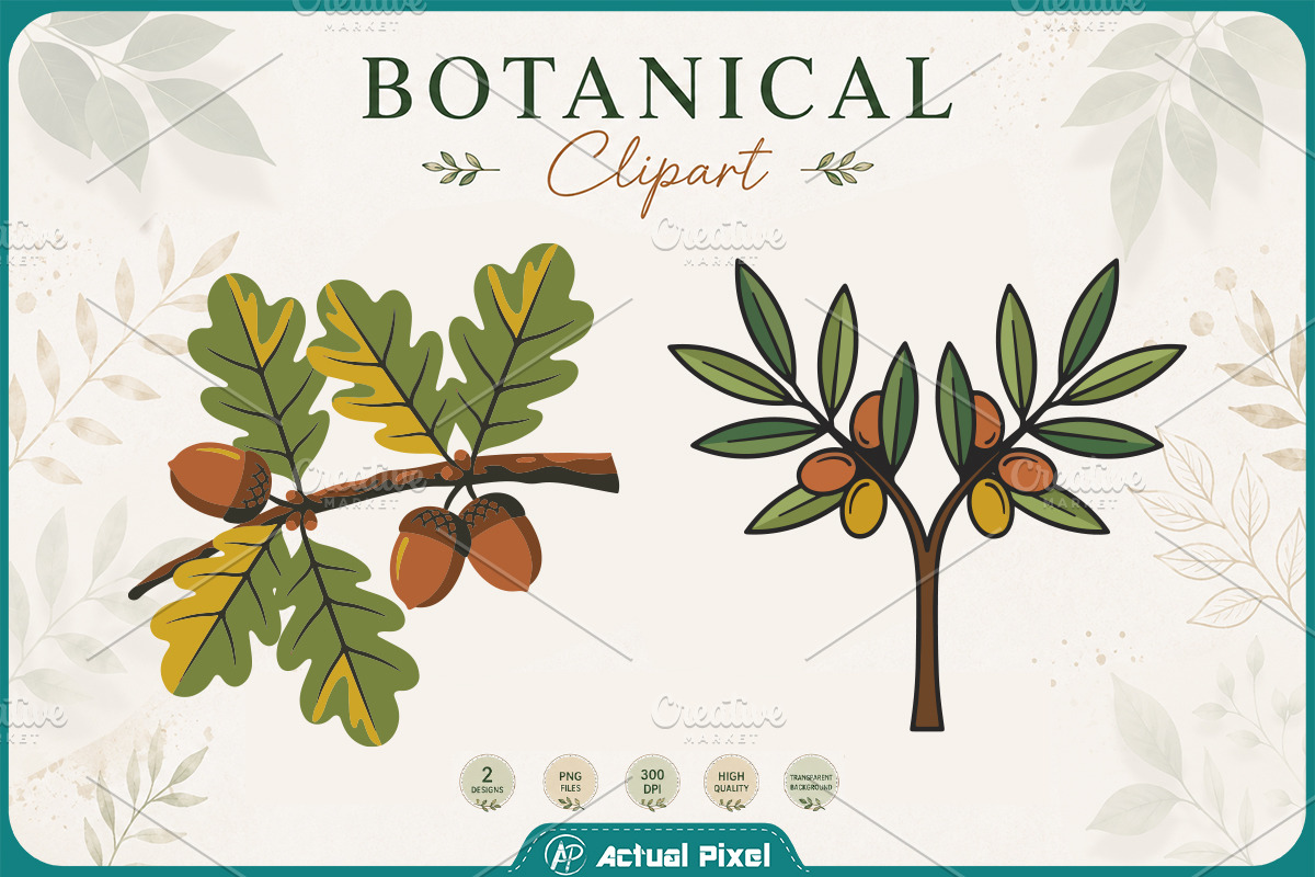 Boho Botanical Leaves Clipart Bundle, a Nature Photo by Actual Pixel (Photo 3 of 21)