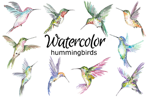 Hummingbird watercolor clipart