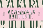 Orleans Brightens Modern Serif, a Serif Font by timelesstype.co (Thumbnail 7 of 15)