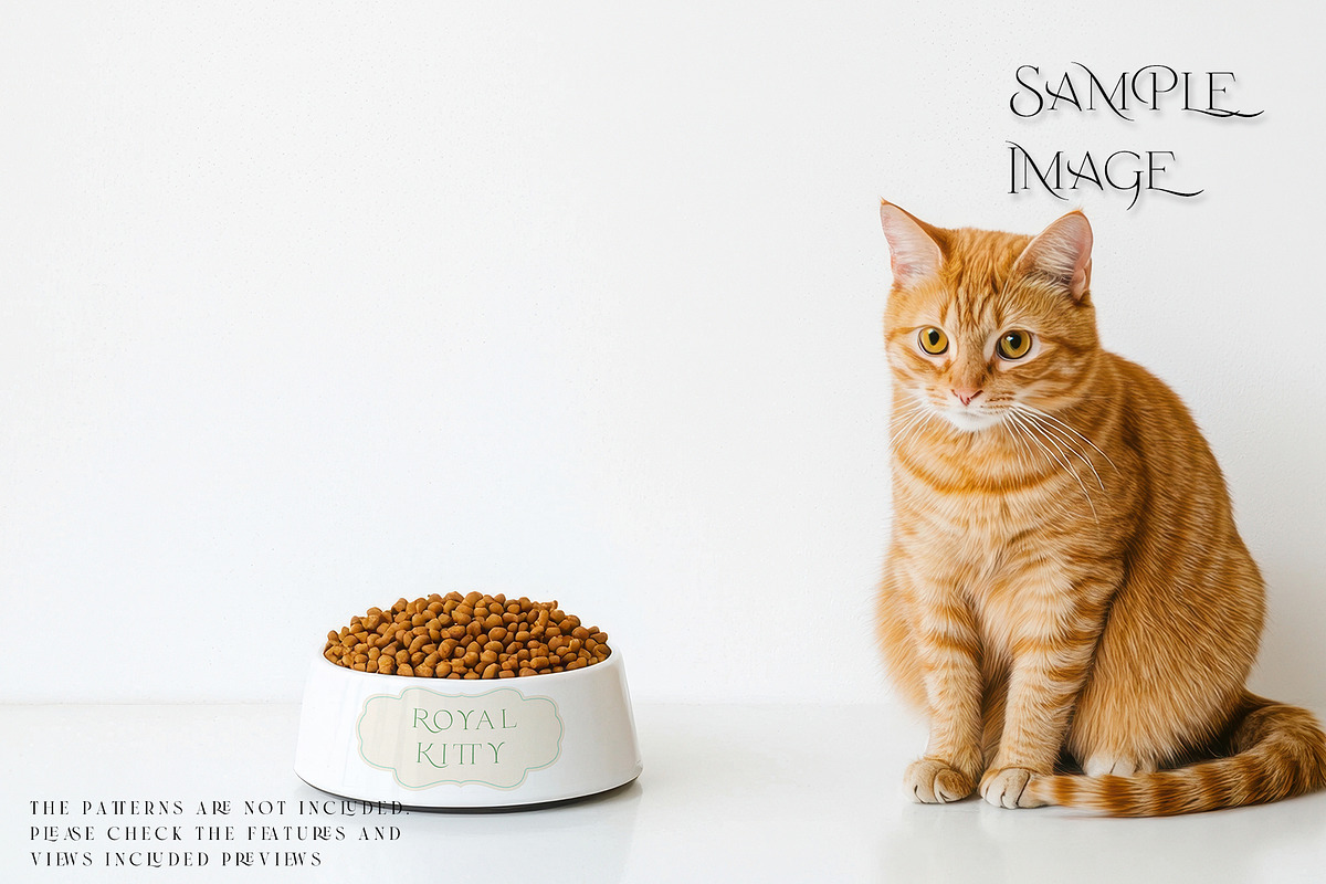 Pet Bowls PNG & PSD Mockups, a Product Mockup by mock-ups (Photo 6 of 12)
