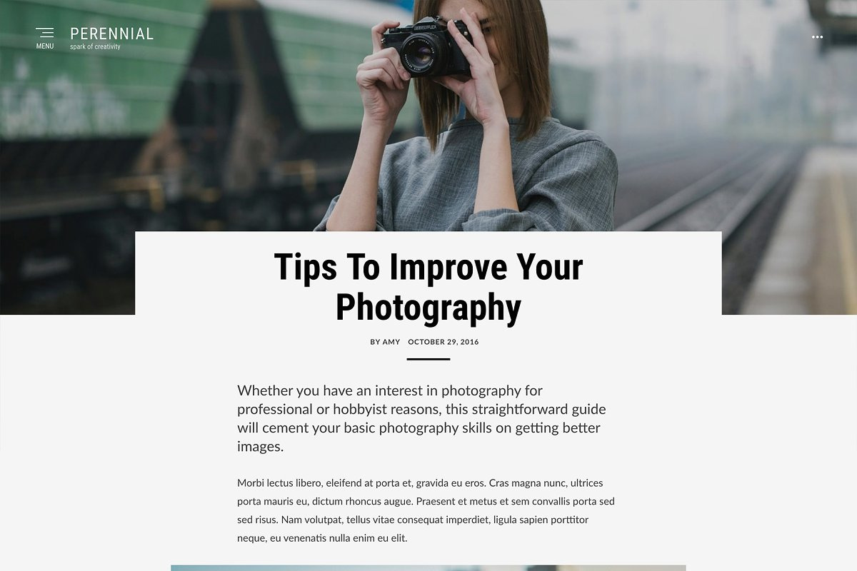 Perennial - WordPress Blog Theme, a WordPress Template by DesignOrbital (Photo 2 of 4)