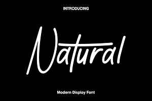 Natural - Modern Display Font, a Script Font by Luna Shop