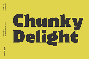 Chunky Delight, a Serif Font by Wildan Type
