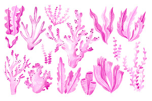 Pink Sea Algae, Seaweed Plants, an Illustration by the_myro