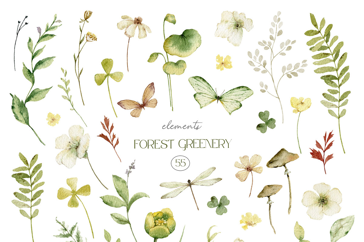 Watercolor set of Forest Greenery, an Illustration by Elena Medvedeva (Photo 2 of 15)