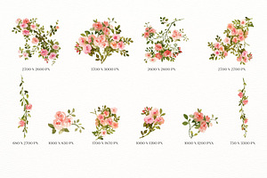 Vintage Roses