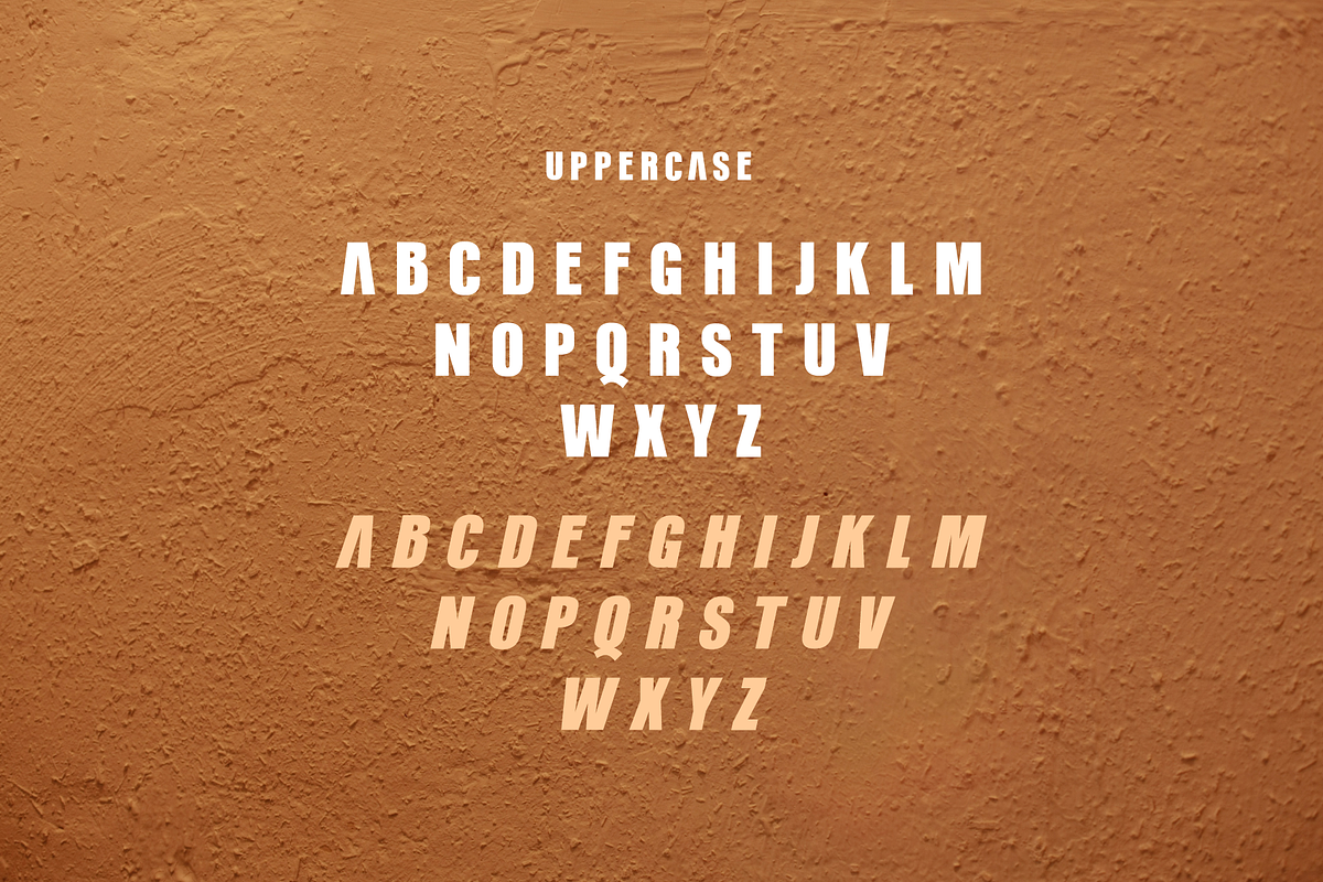 Terracota, a Sans Serif Font by almazstudio (Photo 8 of 10)
