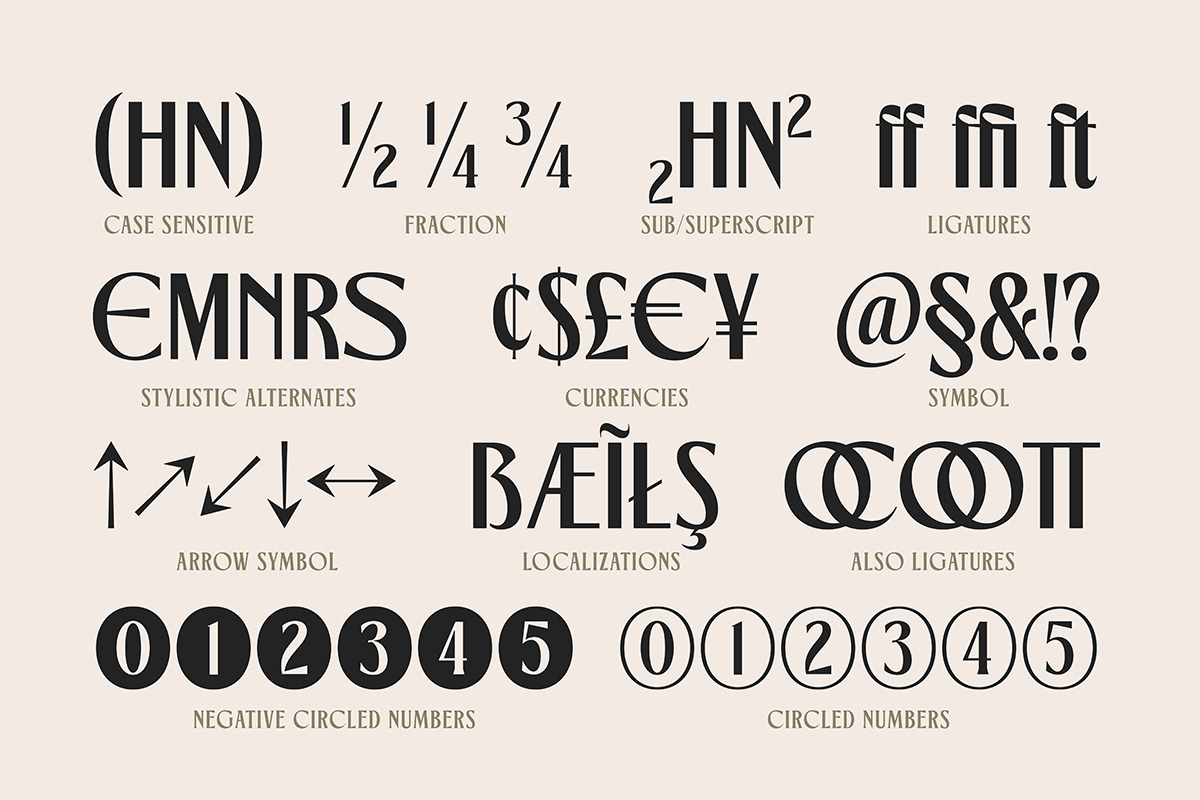 TNSC Gemino - Sans & Serif Typeface, a Serif Font by The Native Saint Club (Photo 9 of 14)
