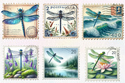 Dragonfly Postage Stamps Clipart, an Illustration by CreationArt (Thumbnail 5 of 5)