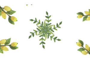 Animation Of Growing Flowers, Floral