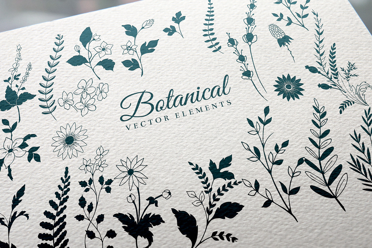 Floral Decorative Elements, a Decorative Illustration by Solana (Photo 2 of 3)