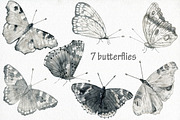 Butterflies and floral collection., an Illustration by TaPilipa (Thumbnail 2 of 13)