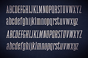Newgate Slab - Retro Font, a Slab Serif Font by Uncle Avi's Supply (Thumbnail 5 of 6)