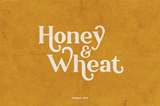 Ambigue Wild Modern x Vintage Serif, a Serif Font by Wandery Supply (Thumbnail 14 of 22)