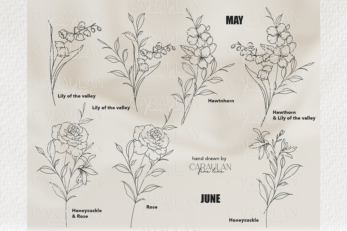 Birth Flowers Outline Stamps, a Brush Add-On by CaraulanStore (Photo 5 of 9)