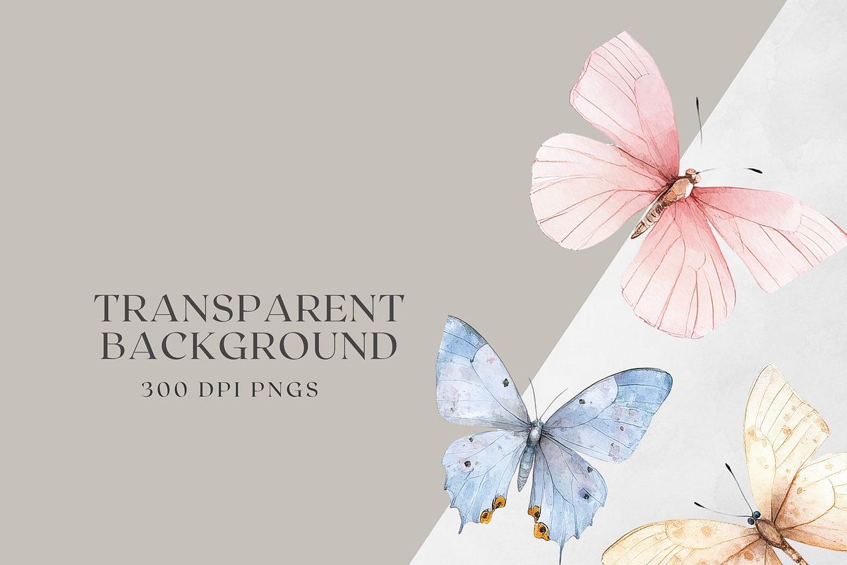 Spring Wings - Butterflies Clipart, a Decorative Illustration by ThaismotaCreativeCo (Photo 6 of 6)