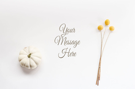 White October - Styled Stock Photo, a Background Photo by SunnyTangerine Stock