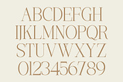 Mogerin | Modern Display Serif, a Serif Font by Typoraith Co (Thumbnail 6 of 10)