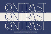 Fracture - Serif Font, a Serif Font by Alpaprana (Thumbnail 4 of 10)