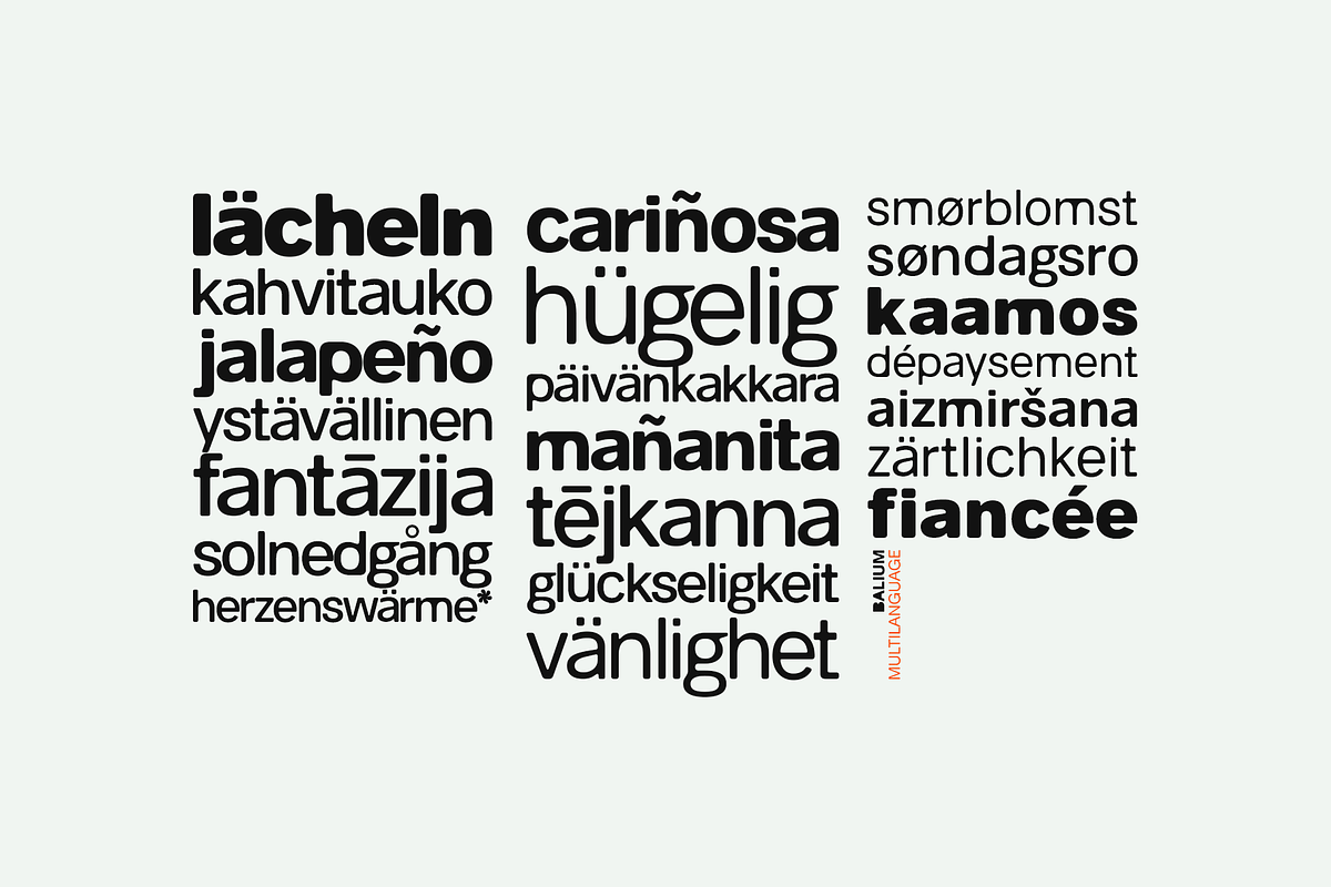 Balium – Imprecise Variable, a Sans Serif Font by Unio Designs (Photo 9 of 15)