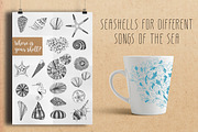 Collection of Shells, an Object Graphic by Nadia Emelianova (Thumbnail 2 of 5)