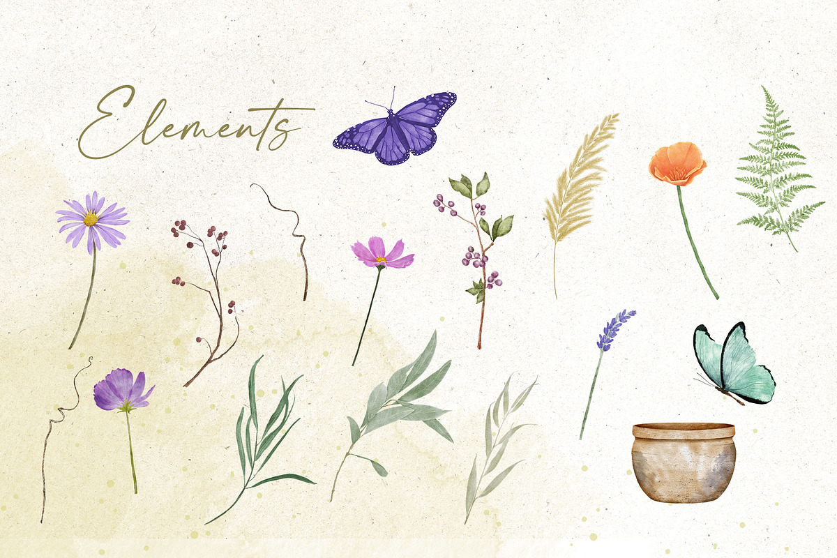Weeds & Wildflowers Design Set, an Illustration by Maggie Stilwell Design (Photo 13 of 16)