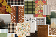 Fav Season - Autumn Collage Pack, an Object Graphic by alenaganzhela (Thumbnail 12 of 12)