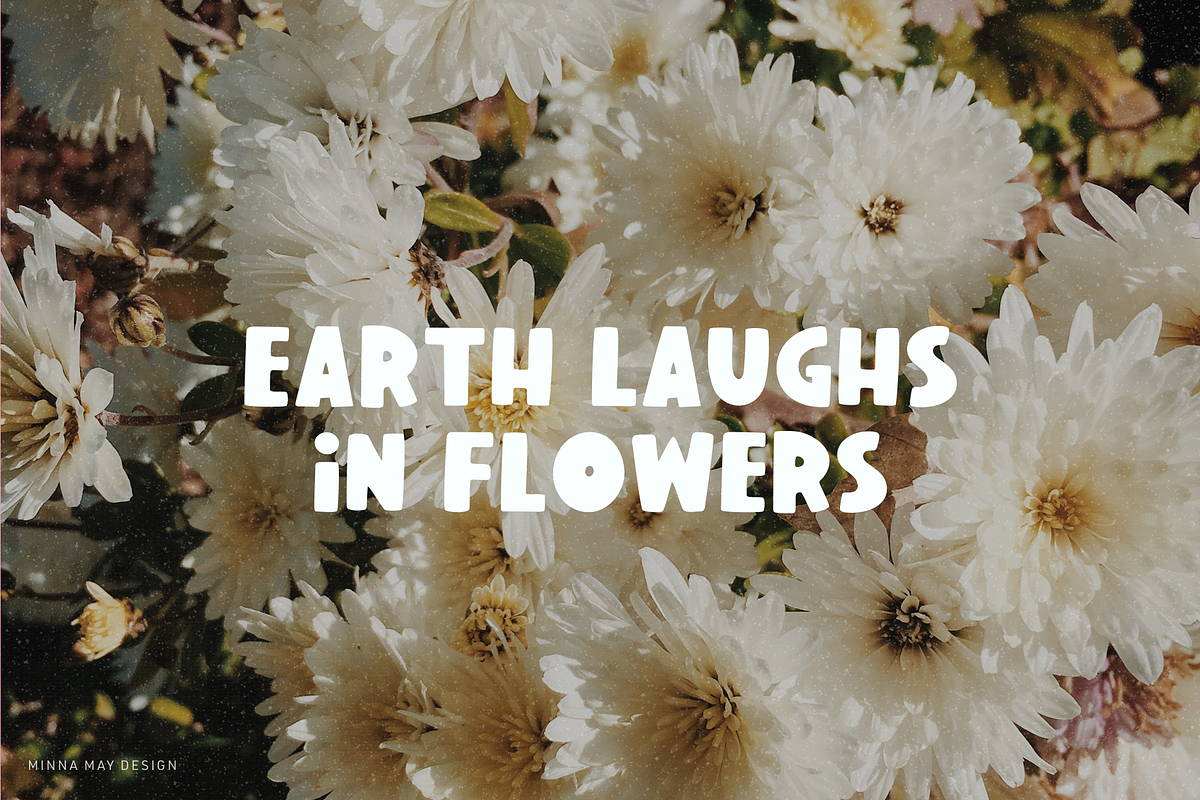 Daisy - Fun Bubbly Display Font preview 2