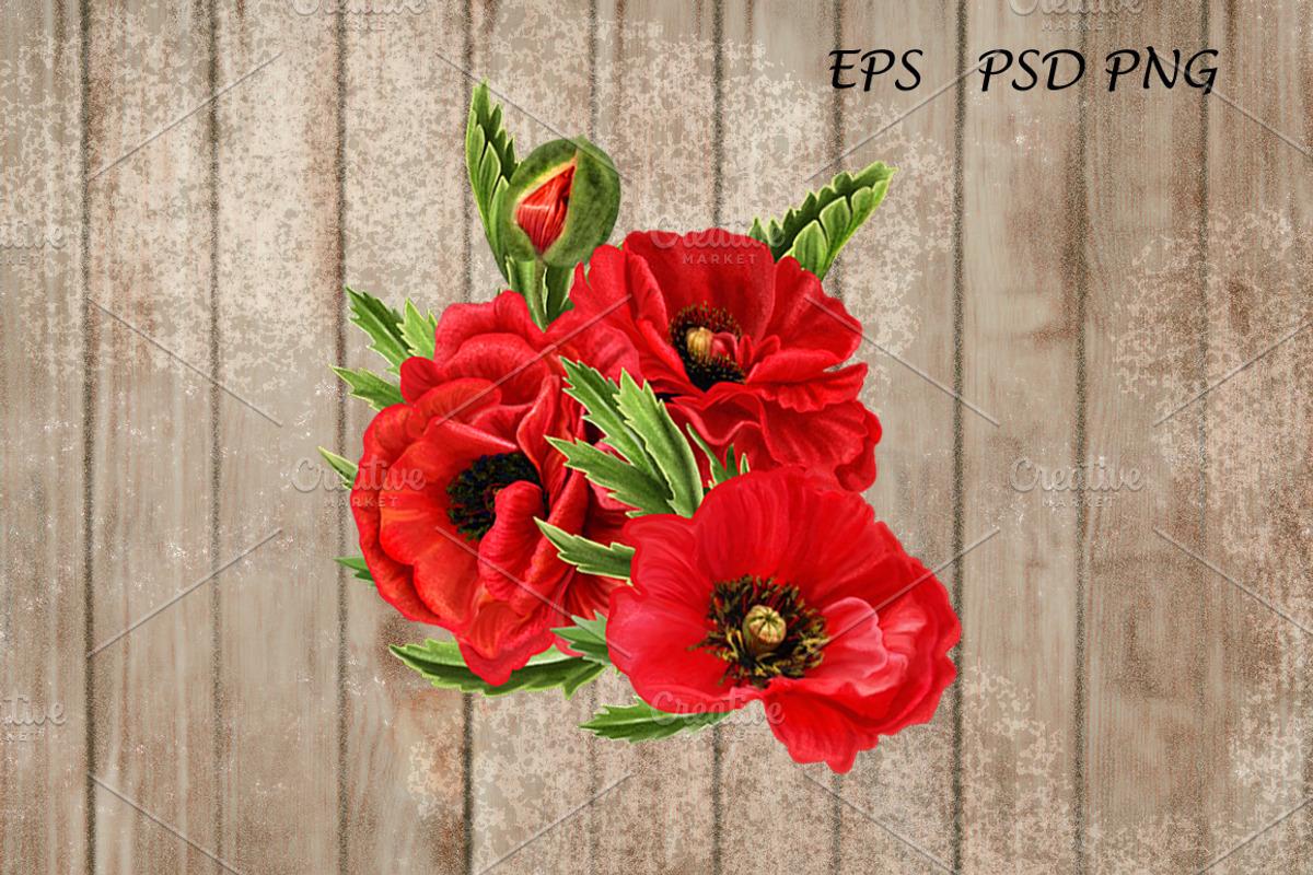 Set. Red poppies, an Illustration by SokolovaSv (Photo 3 of 4)