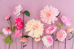 Crepe paper flowers stock photo containing paper flowers and zinnia