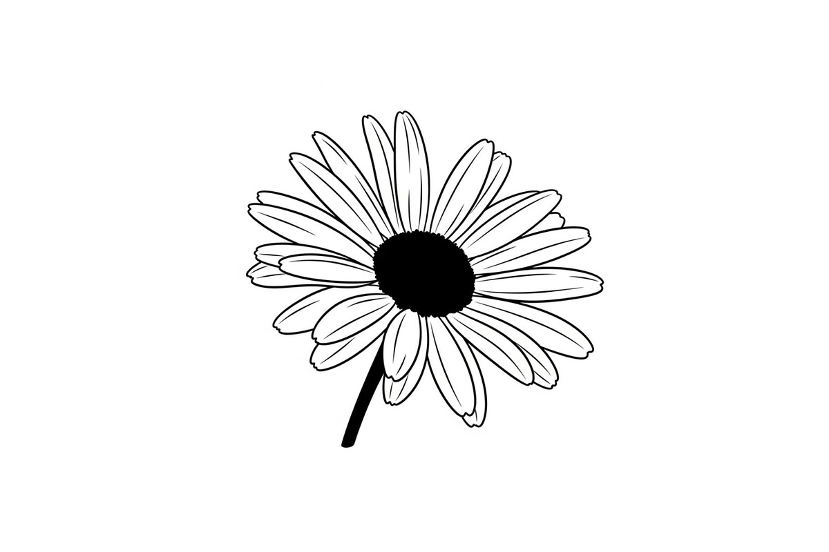 Daisy Flower Line Art Vector Bundle0, an Illustration by jahid234 (Photo 41 of 51)