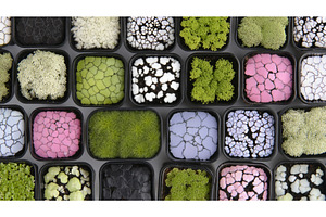 In stock footage, an overhead shot, a Food & Drink Photo by ZinetroN