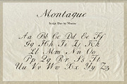 Montague - Script & Rough Duo, a Script Font by Mneme (Thumbnail 6 of 11)