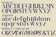 Historical Resilience - Elegant Font, a Serif Font by 177Studio (Thumbnail 7 of 8)