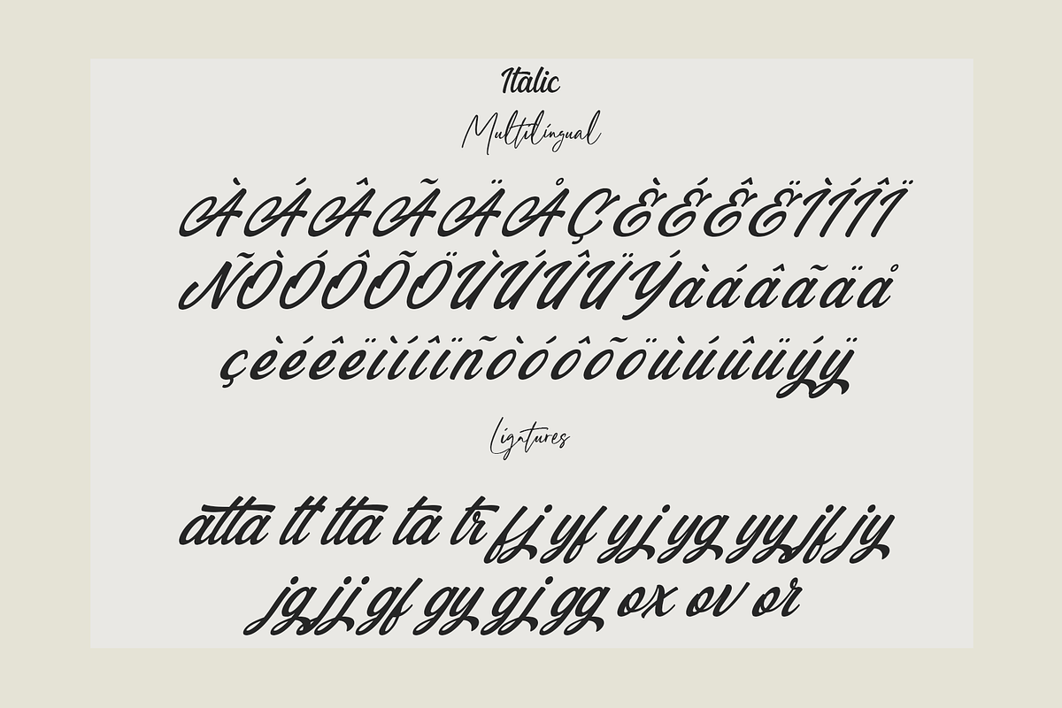 Blackbird - Script Typeface, a Script Font by overlaytemplates (Photo 7 of 7)