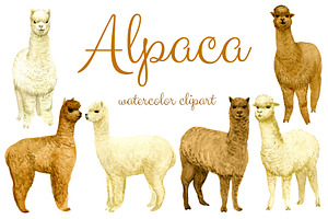 Watercolor Alpaca, Clip arts, an Animal Illustration by Sveta Aho