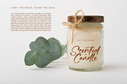 Bartely Cactus Natural Handwritten, a Script Font by stylishtype.co (Thumbnail 8 of 20)