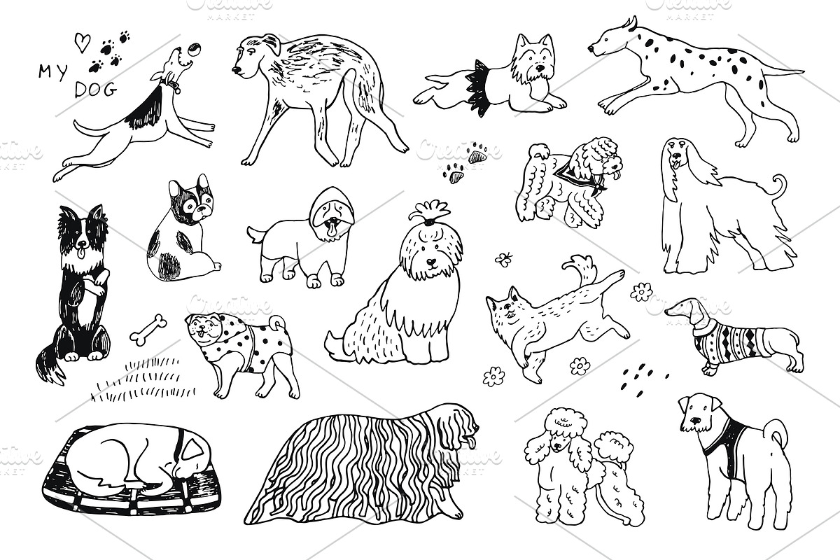Funny Dogs, an Animal Illustration by GooseFrol (Photo 4 of 14)